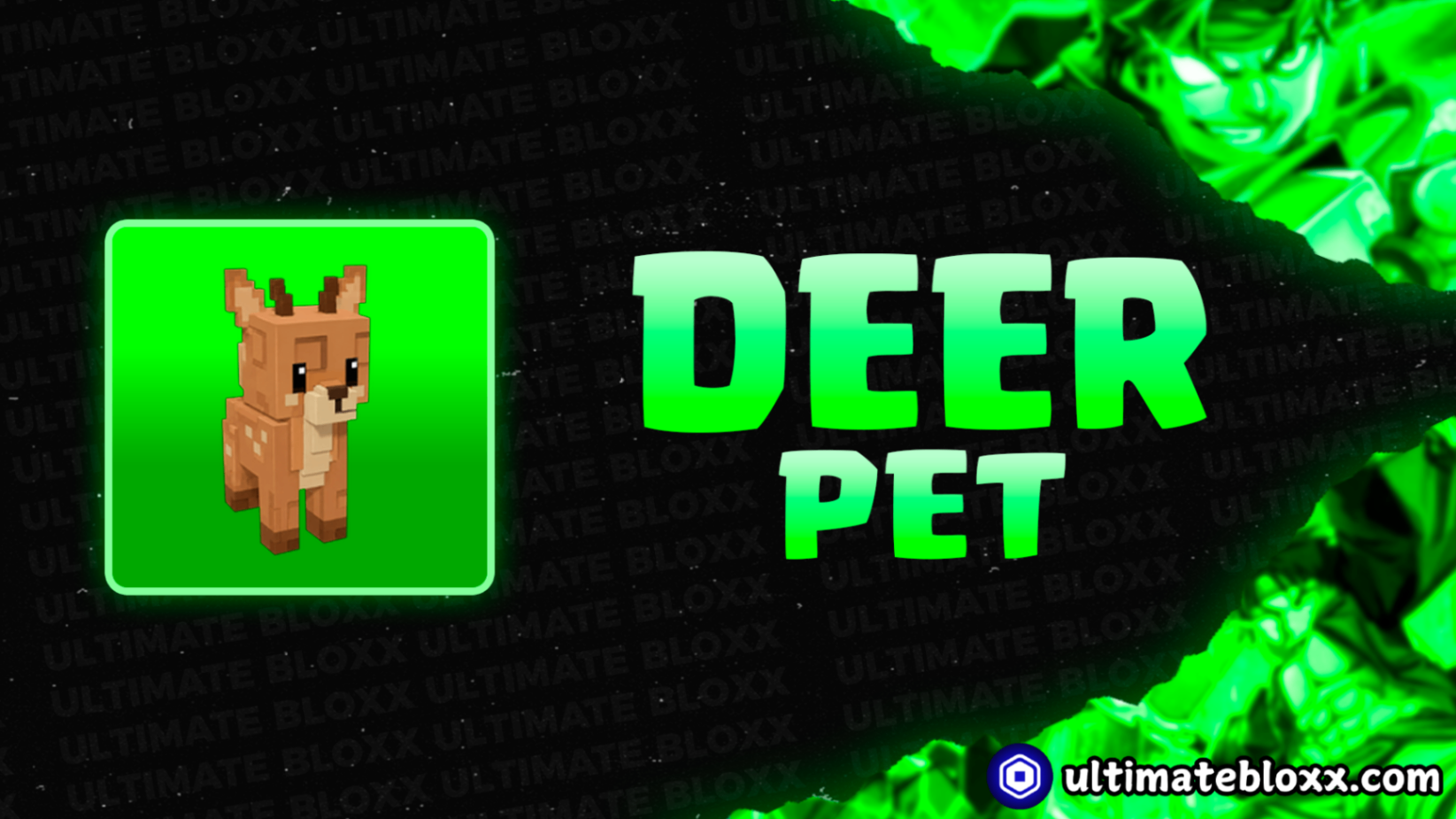 Deer