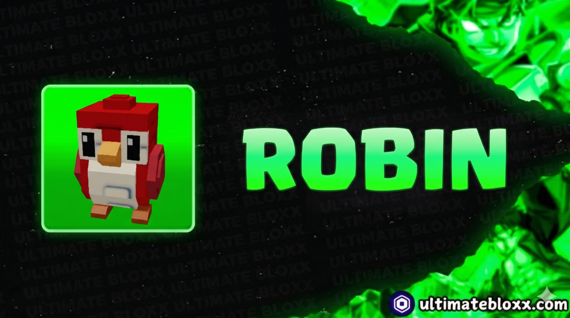 ROBIN