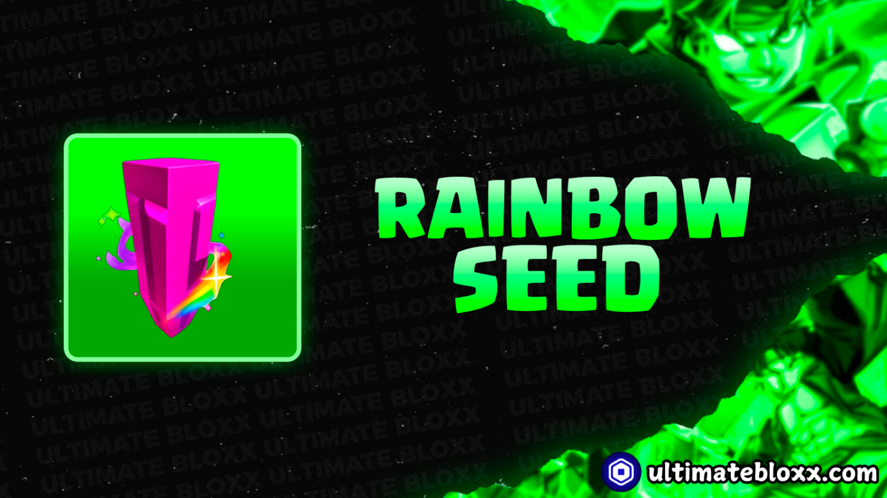 300X Rainbow Seed