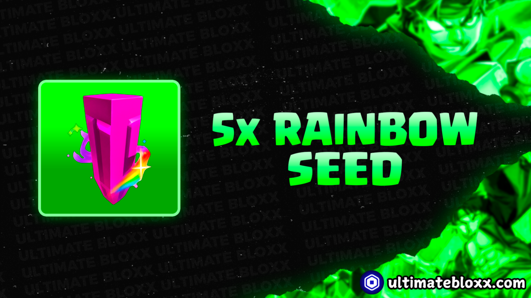 5X Rainbow Seed