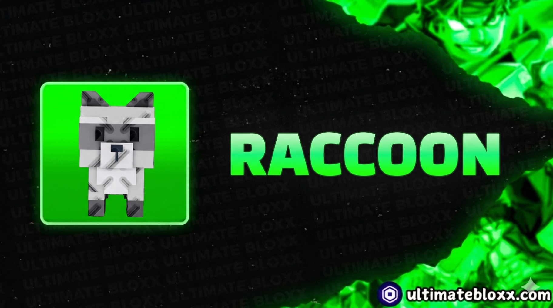 RACCOON