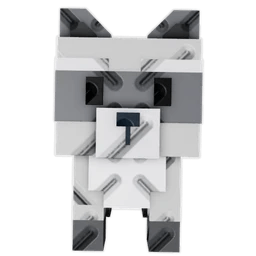 Raccoon