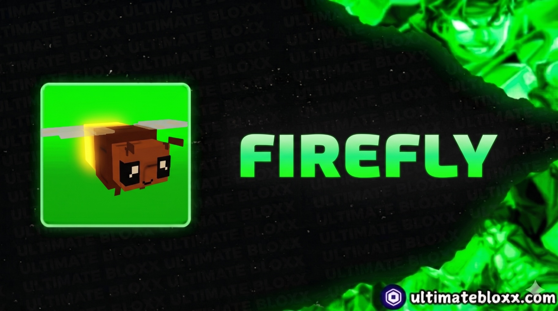 FIREFLY