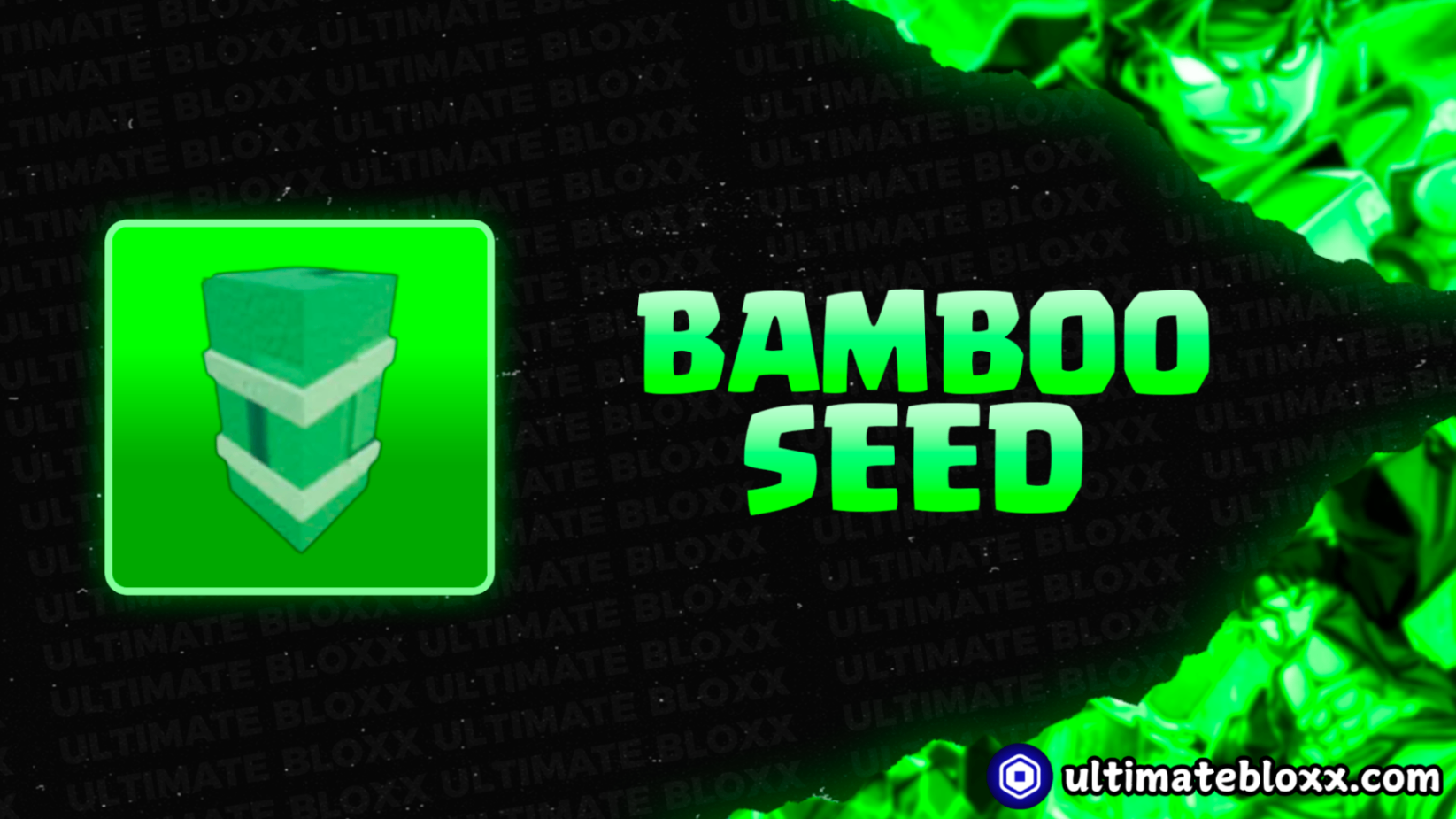 Bamboo Seed