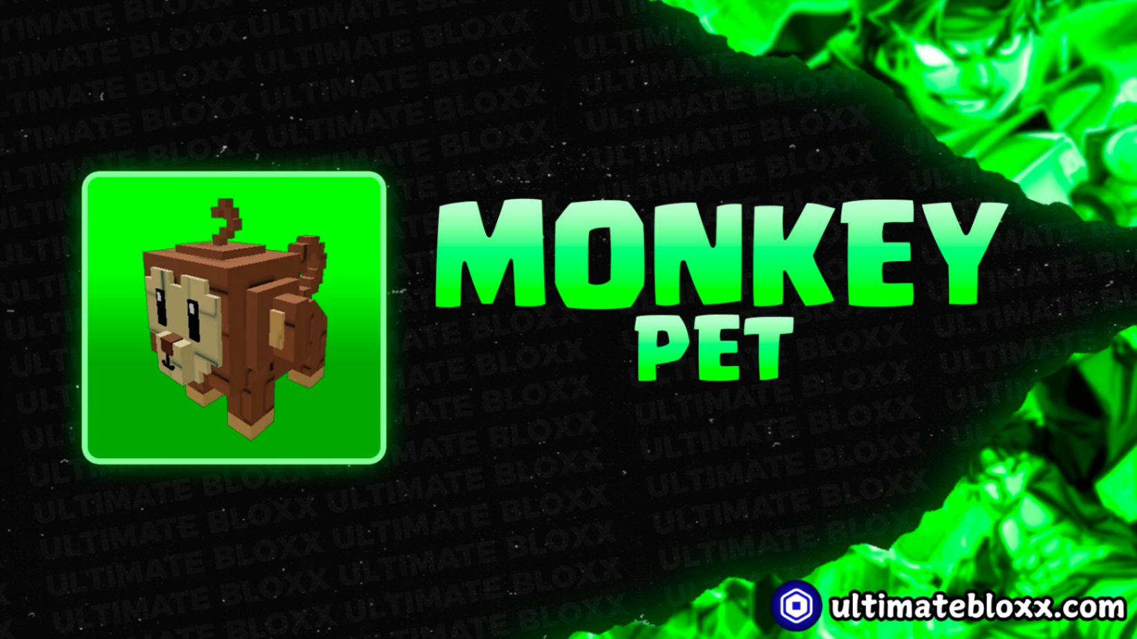 Monkey