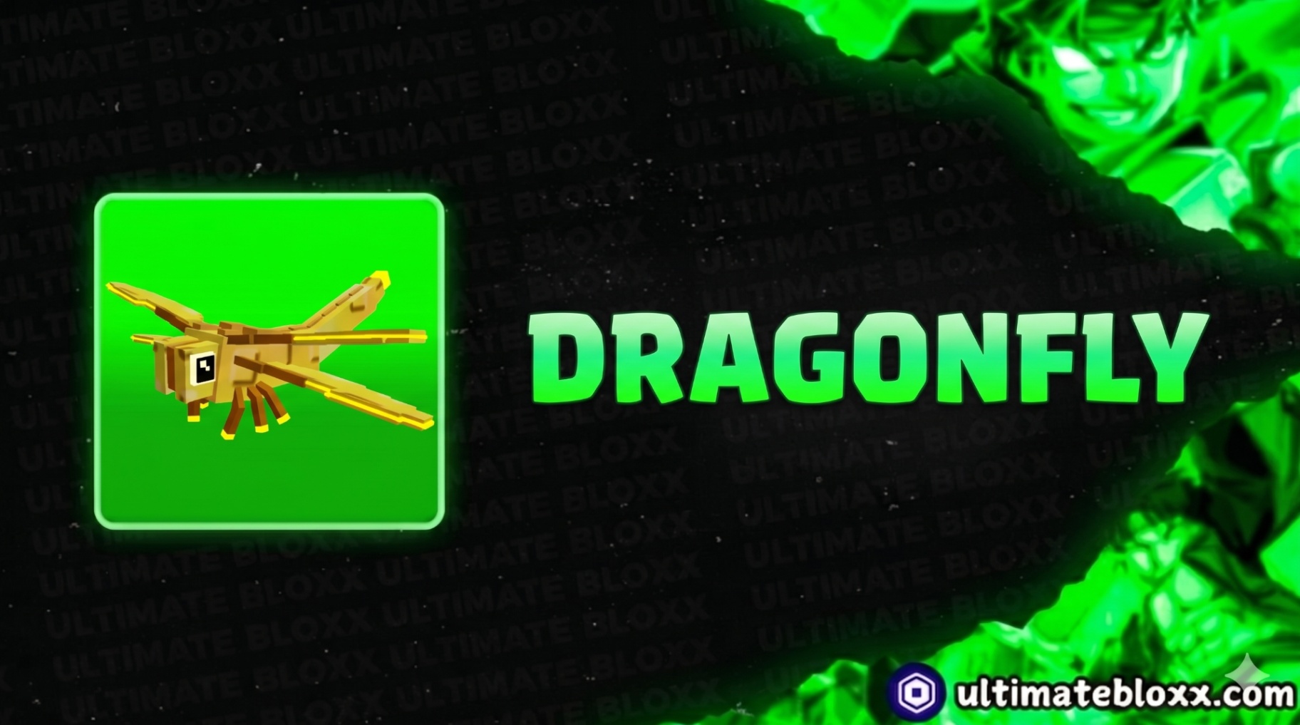 DRAGONFLY