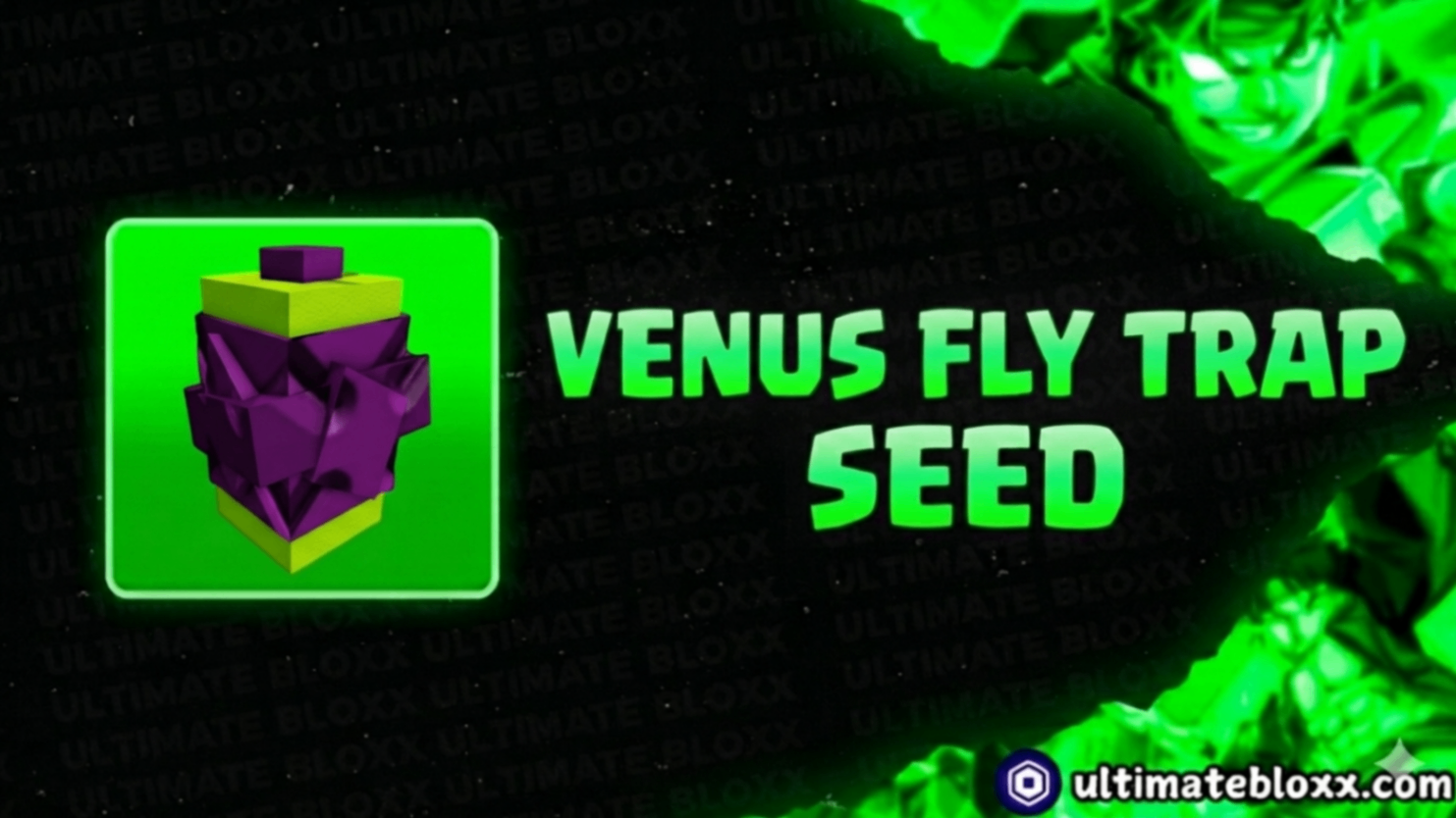 5x Venus Fly Trap Seed