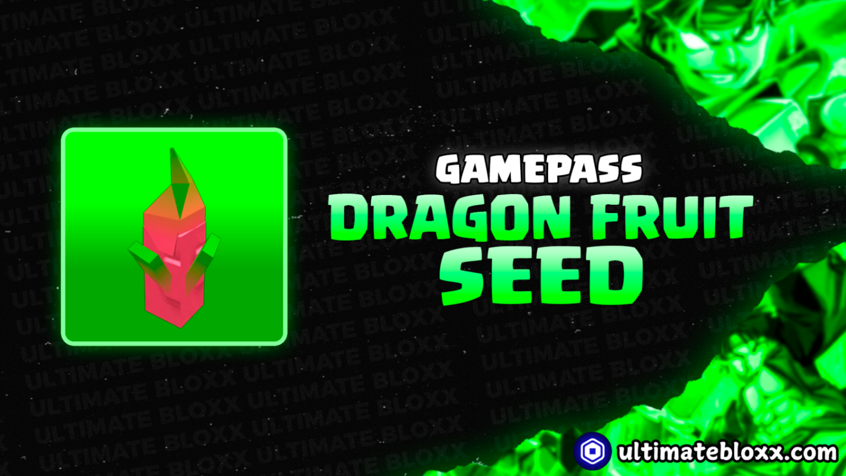 DRAGON FRUIT - SEED