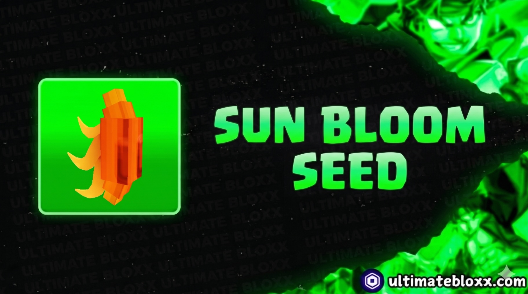 Sun Bloom Seed